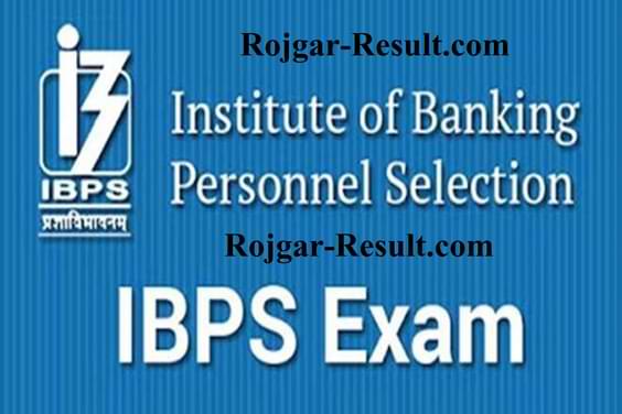 IBPS RRB Notification IBPS RRB Vacancy IBPS RRB Recruitment